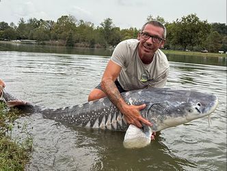 Pesca allo storione